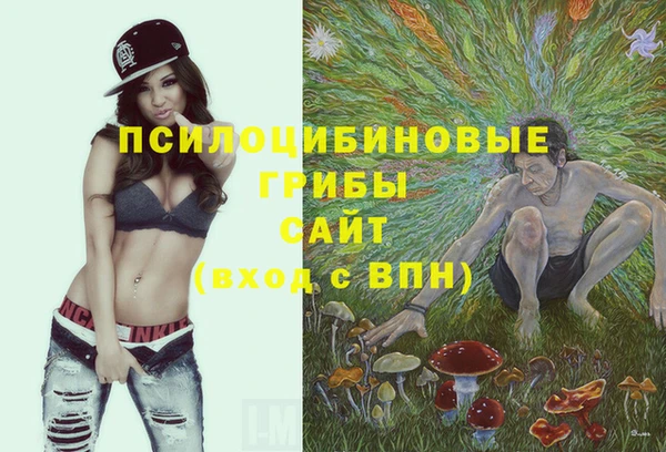 скорость Шадринск