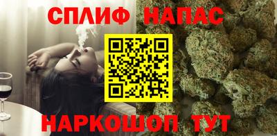 индика Пенза