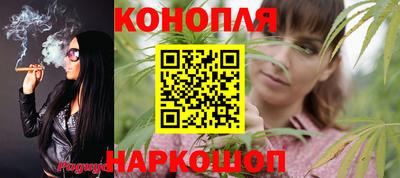 индика Пенза