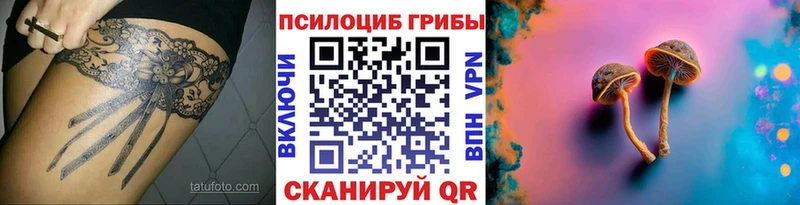 Псилоцибиновые грибы GOLDEN TEACHER Тверь