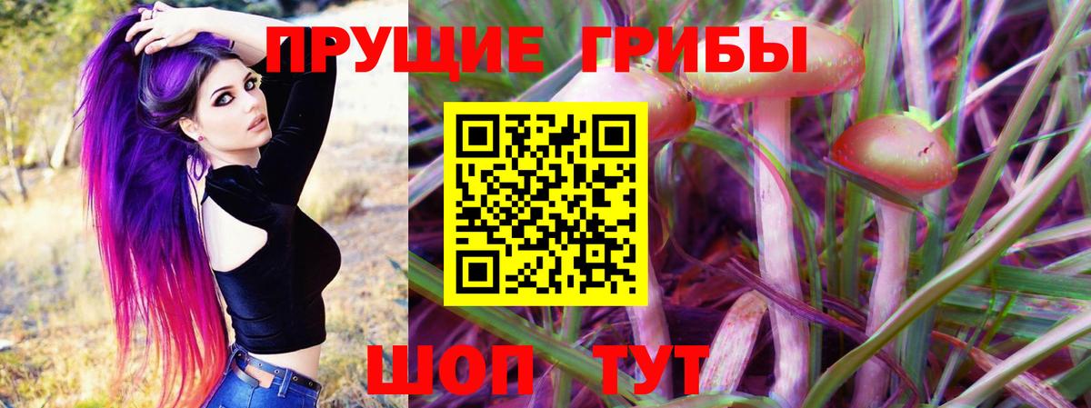 купить наркотик  Вход с VPN  Тверь  Галлюциногенные грибы Magic Shrooms  Галлюциногенные грибы GOLDEN TEACHER 