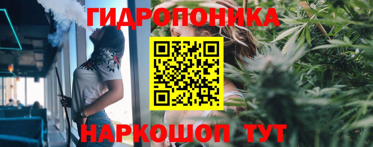 Шишки марихуана гибрид  Бошки марихуана семена  Тверь  Вход с VPN 
